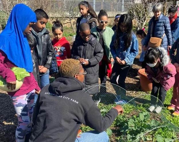 IN FOCUS! Our Education programme & Young Farmers — Spitalfields City Farm