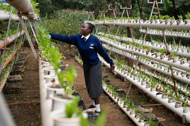Feeding the future: Africa surges ahead on school meals | World Food Programme