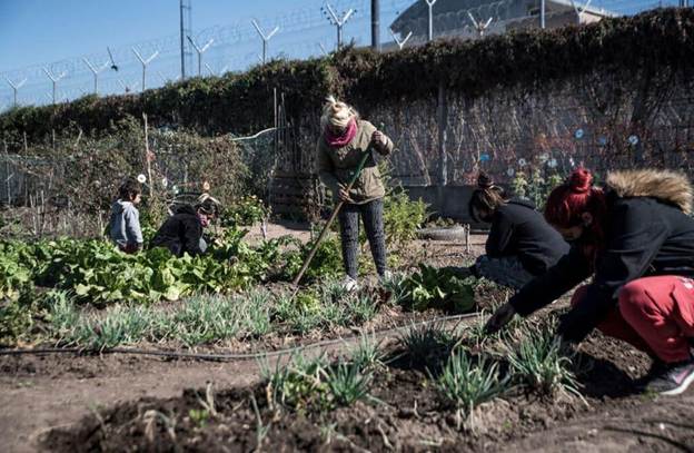 El huertazo urbano. Rosario: agroecología en la ciudad - lavaca