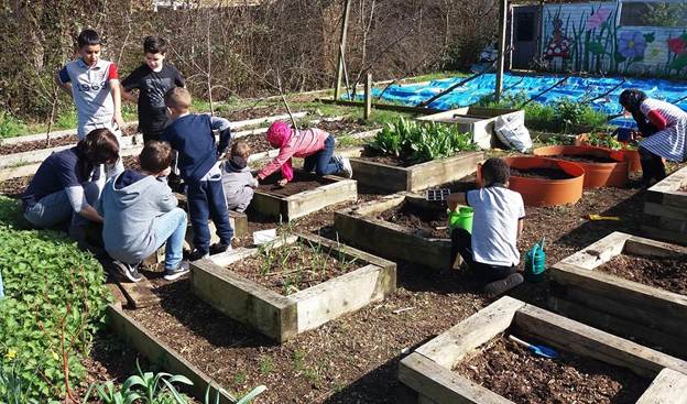 White City community farm in fundraising drive for family sessions | London Borough of Hammersmith & Fulham