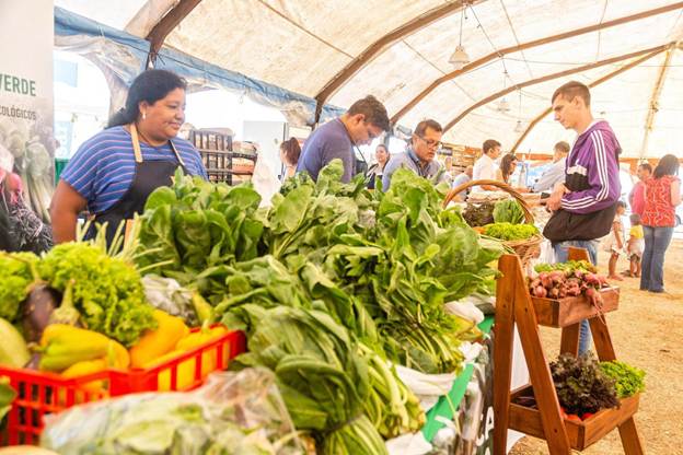 Noticias MR | La Biblioteca Argentina será escenario de una feria agroecológica y poética