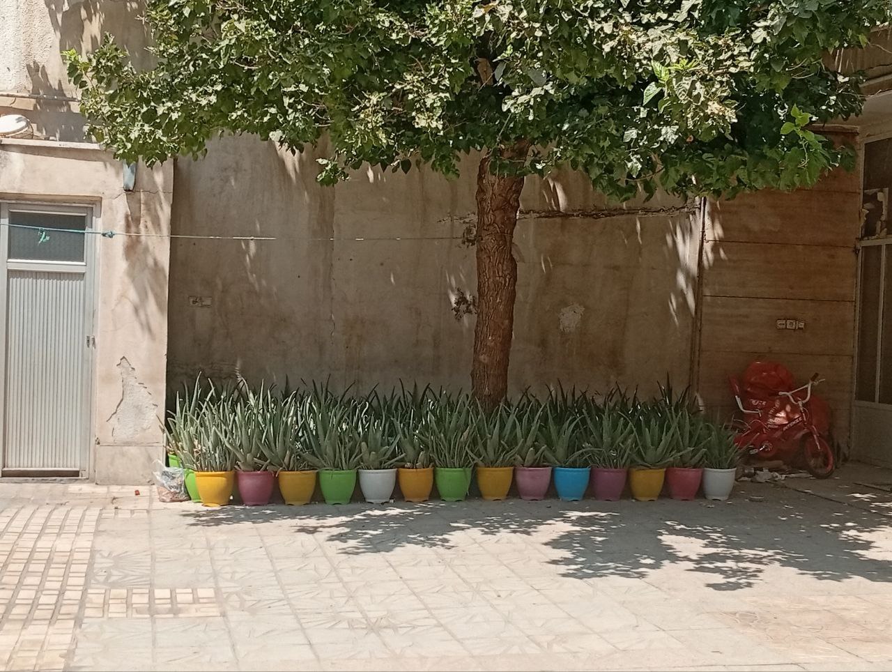 کشاورزی شهری و اقتصاد محلی؛ چگونه تولید شهری می‌تواند به ایجاد درآمد و اشتغال کمک کند؟