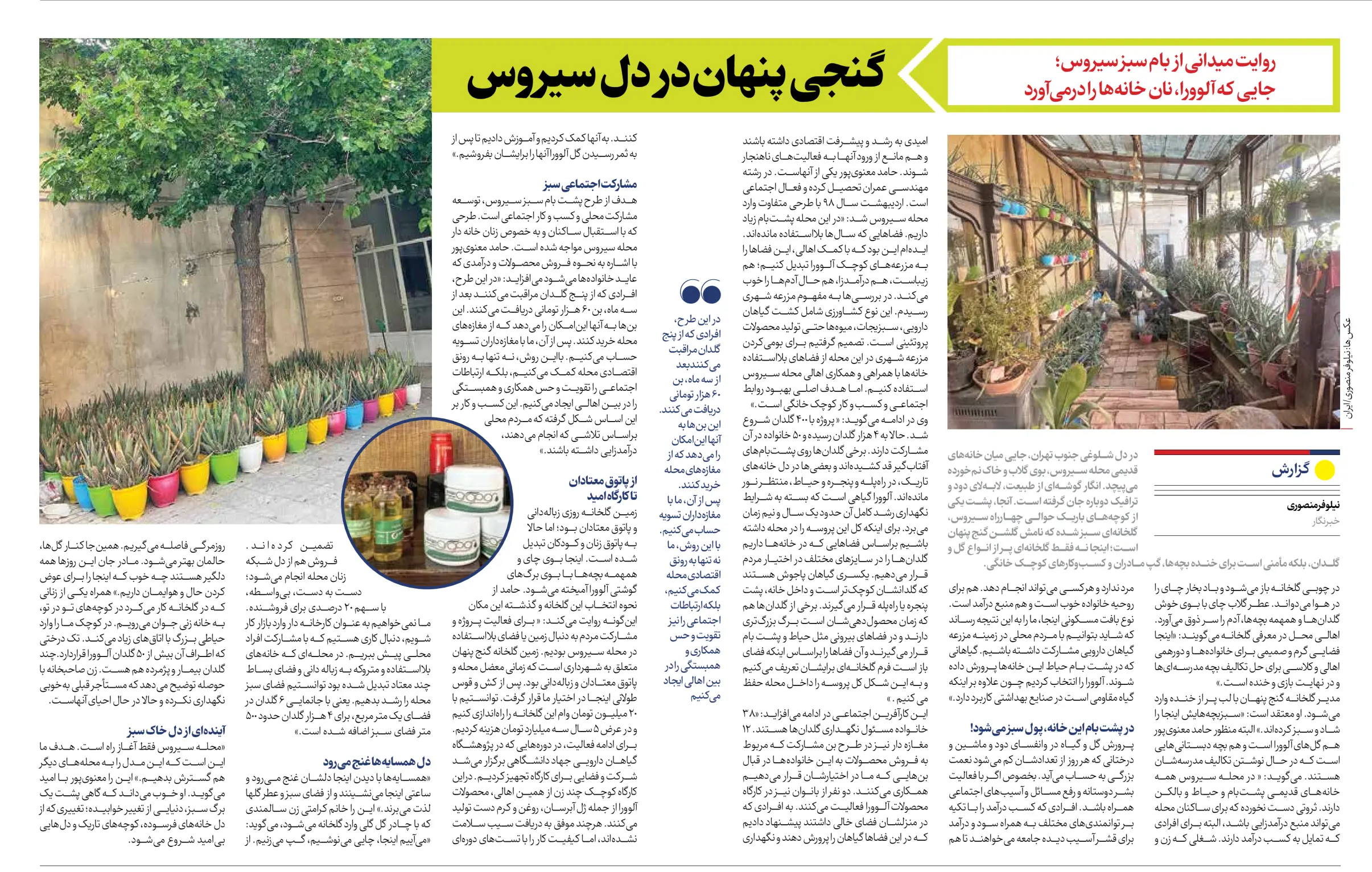 گنجی پنهان در دل سیروس | روایتی از بام سبز در روزنامه ایران